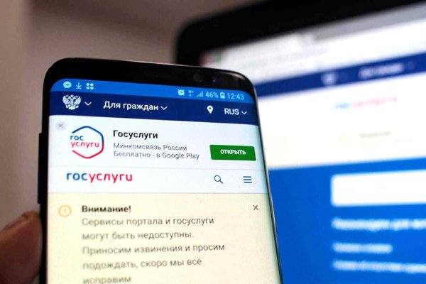 Нарко маркетплейс