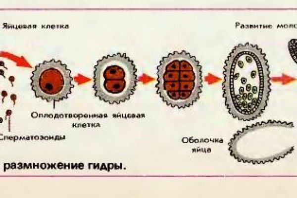Как зайти на кракен с телефона андроид